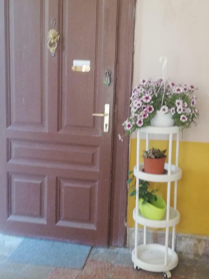 Galeria Apartman Segedín Exteriér fotografie
